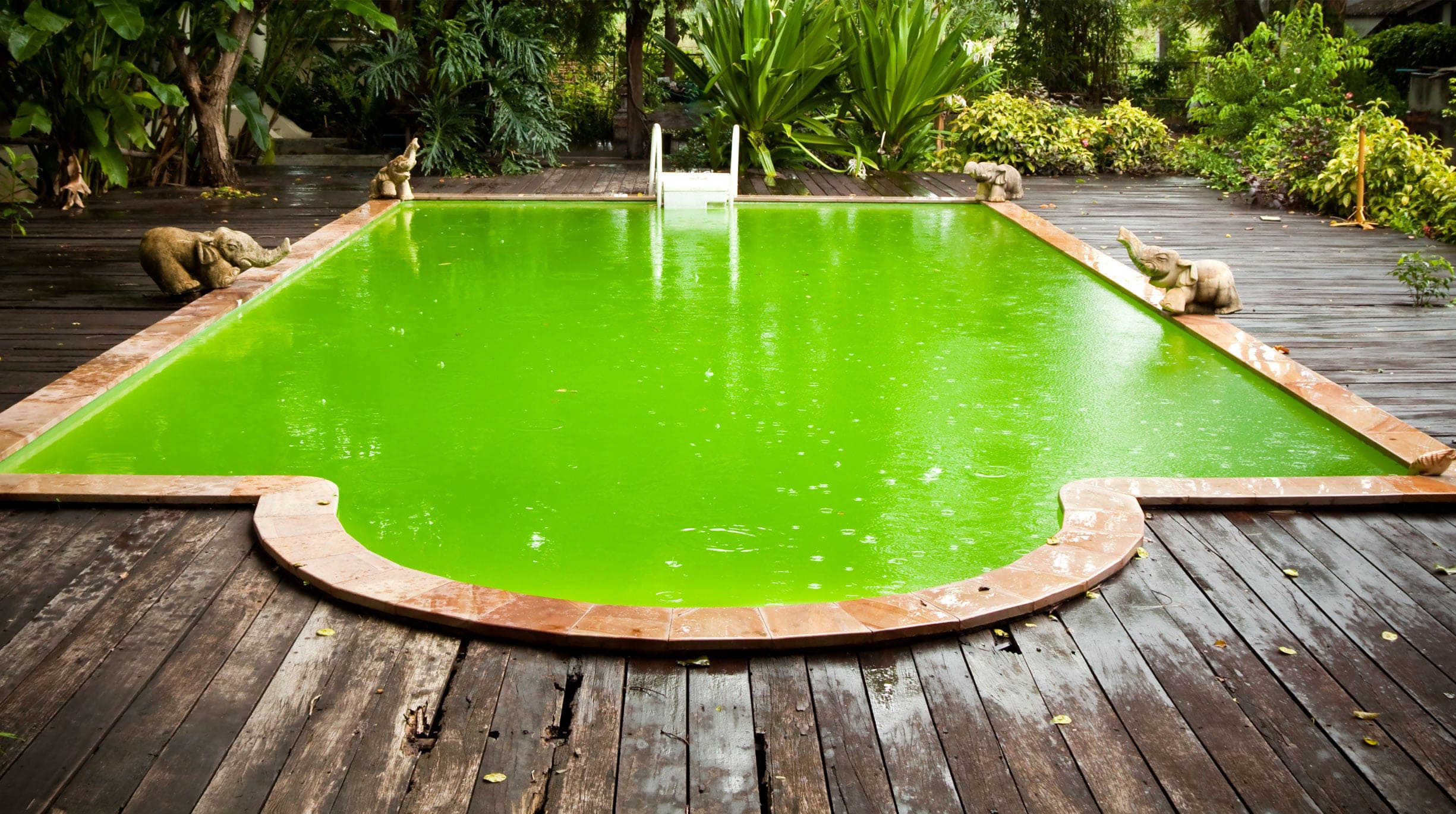 lutter contre eau verte piscine remèdes grand mère